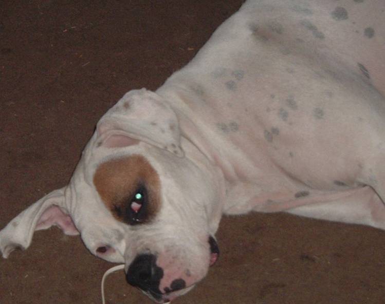 why do you keep bothering me?