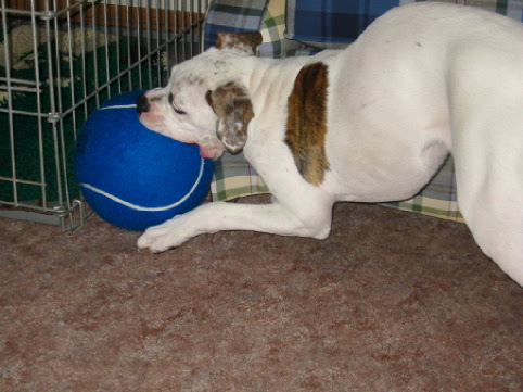 Why is this ball so big