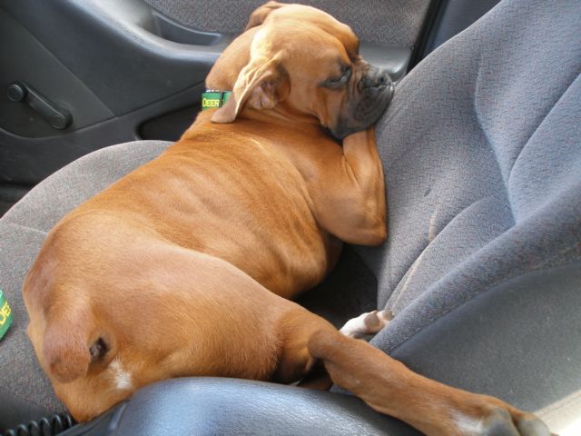 Why mom needs a bigger car!