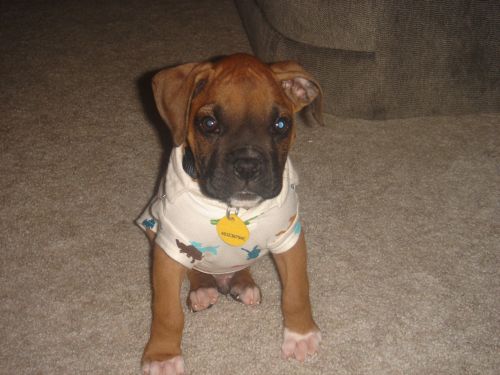 Why must Mommy embarass me?