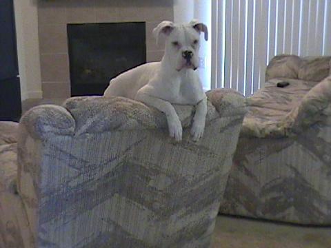Why R U Leaving Me!