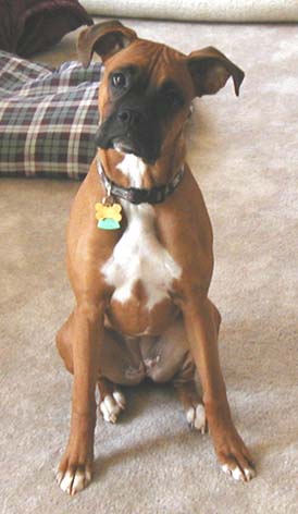 Why you pointing that camera at me?