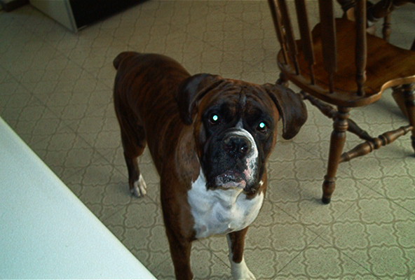 why you taking my pic