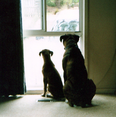 Will dad be home soon??