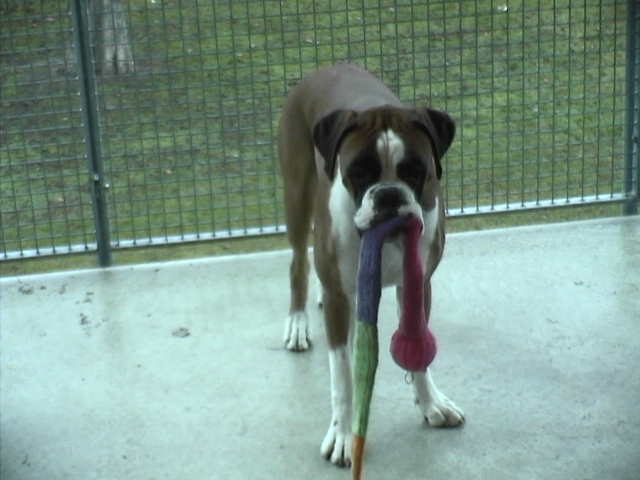 Will you come out and play wit me?