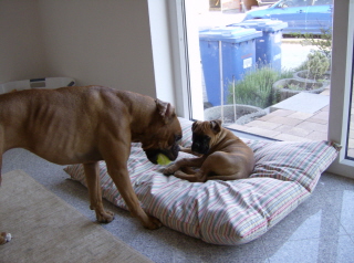 Will you play with me?