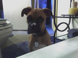 Will you please get out of there and play with me?!?!?!?!