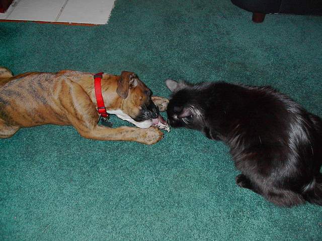 Will you share?