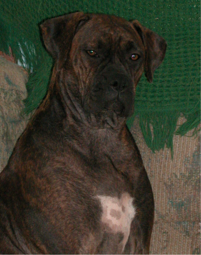 Willow 9-02
