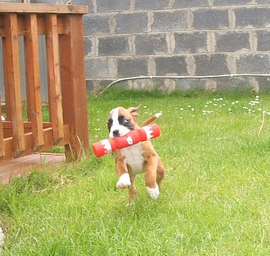 Wilma