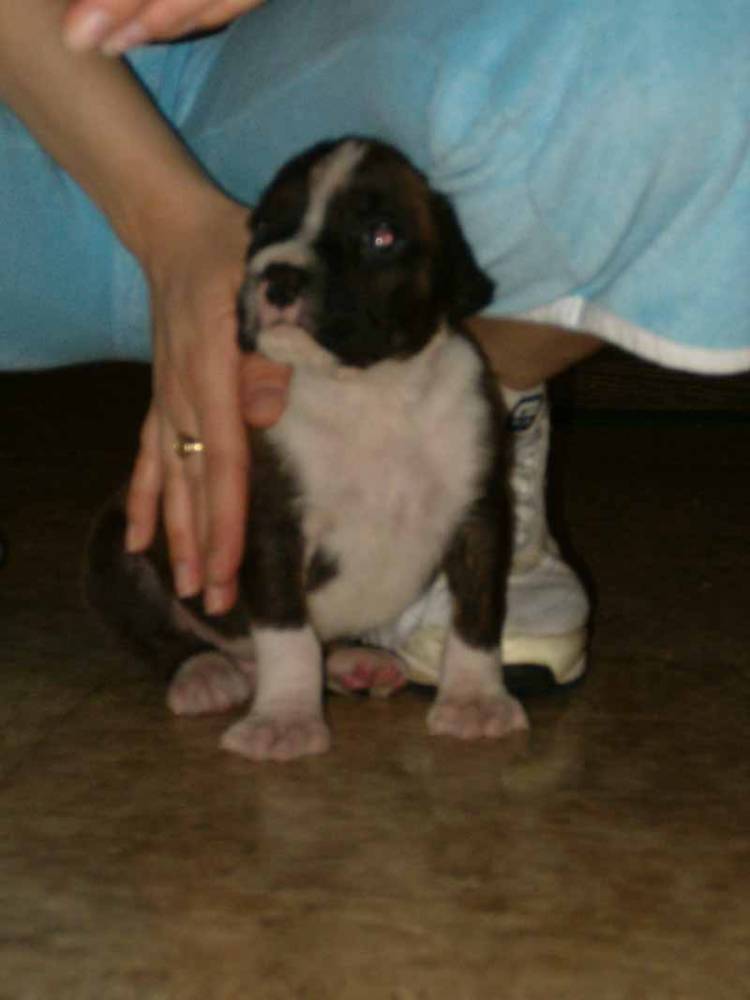 Wilson at 5 weeks