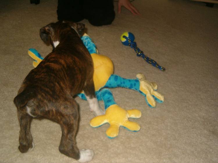 Wilson playing