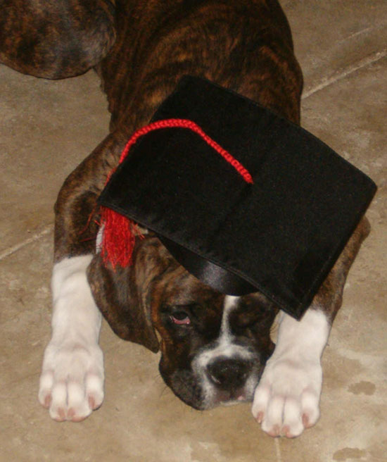 Wilson the Graduate