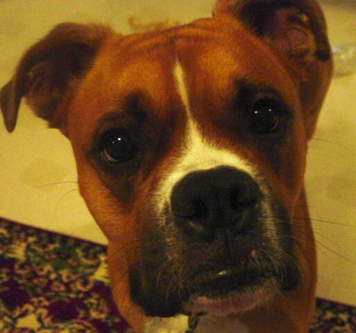 Wilson
