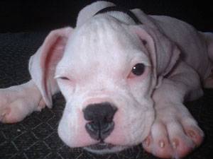 Wink!