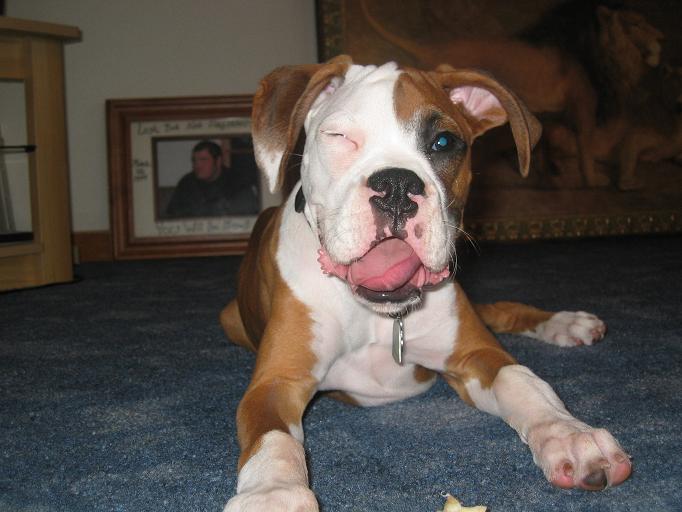 *Wink*