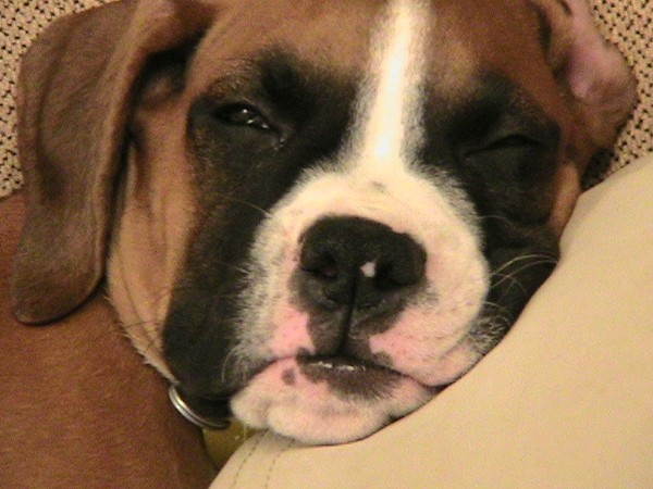 winking