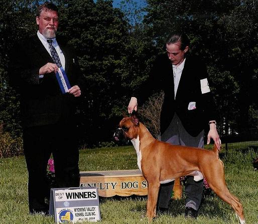 Winners Dog Best of Winners May 04