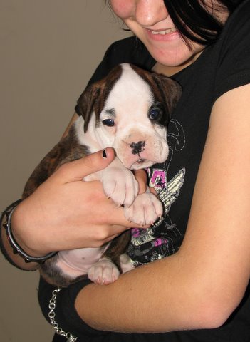Winnie - 5 weeks