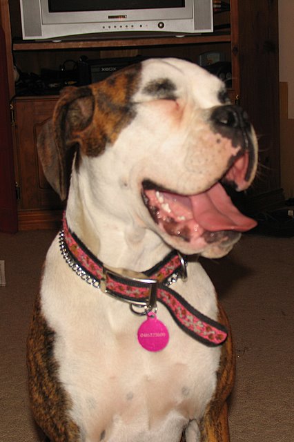 Winnie - 7months