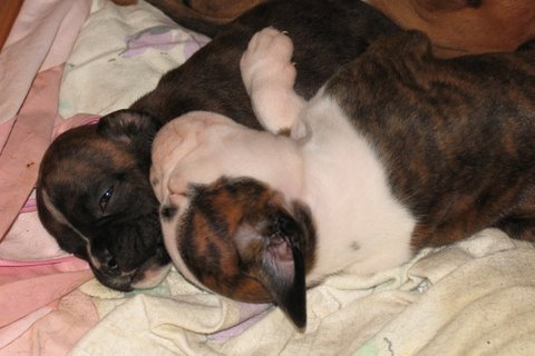 Winnie & her brother.