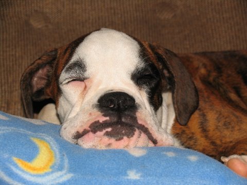 Winnie - too tired to play 5mths old.