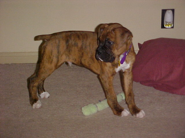 Winston standing