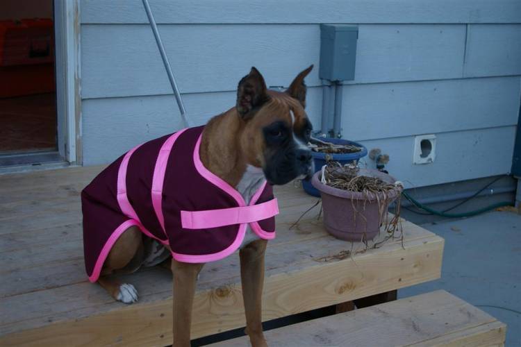 winter coat...