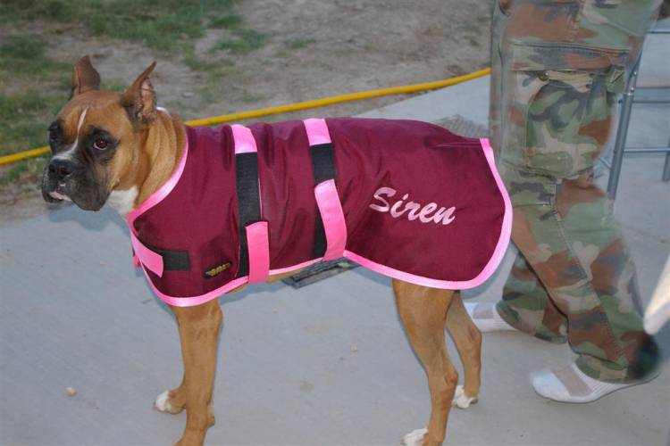 winter coat