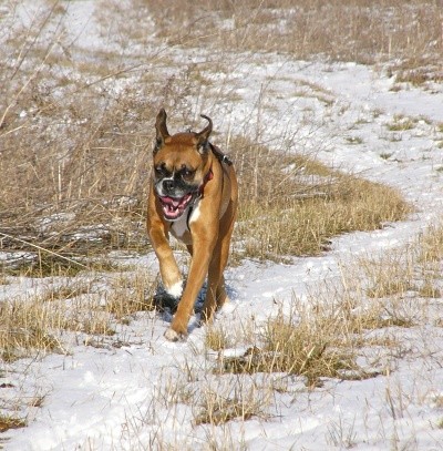 Winter Running