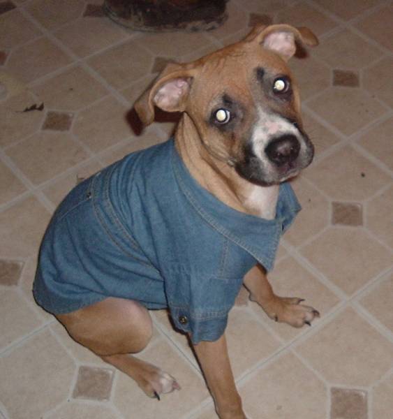 Winter wear :)