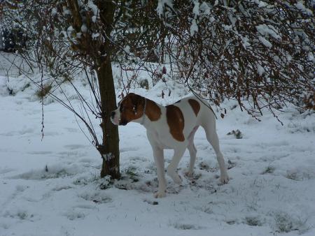 winter