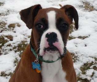 Wintertime Ali