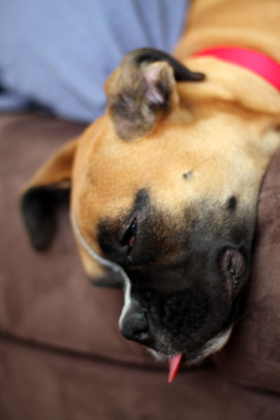 wiped-out