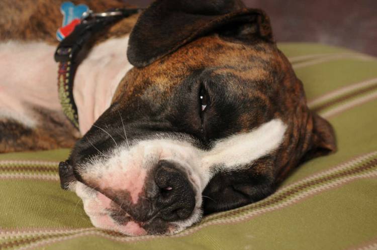 Wiped Out