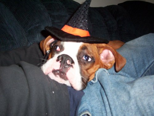Witch...