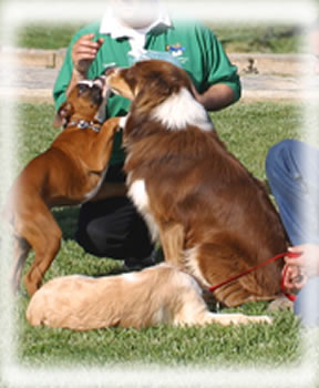 with dog and other friends...