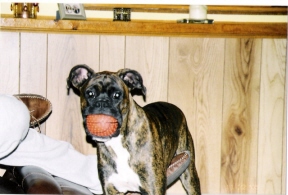 With my Ball