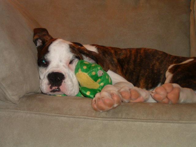 With my froggy