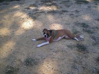 Woo-hoo I'm pooped!