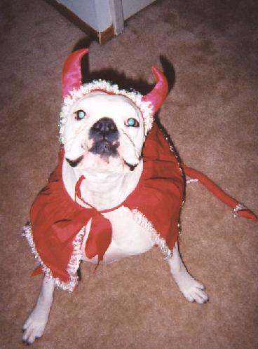 Woo Woo Devil