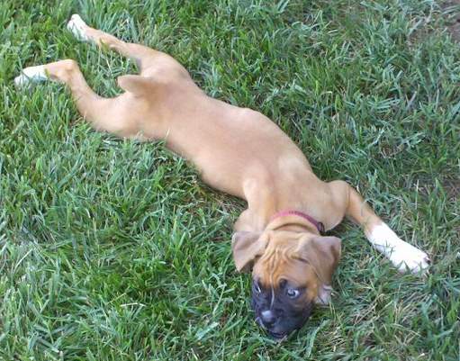 Wore out!