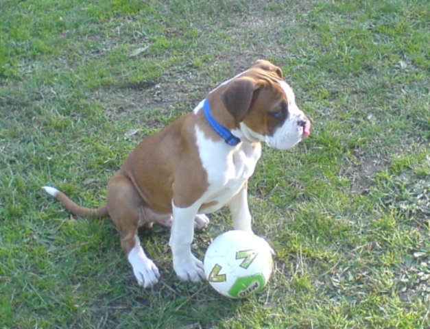 World Cup - Here I come