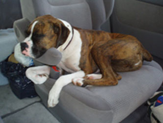 Worn out from Vacation
