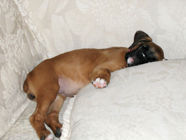 Worn out on Memorial Day 2005