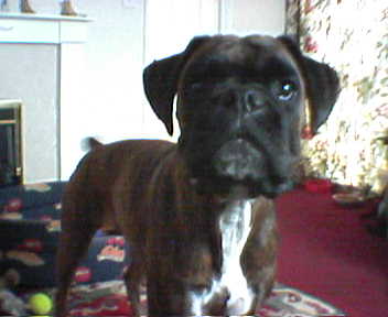 wot u looking at