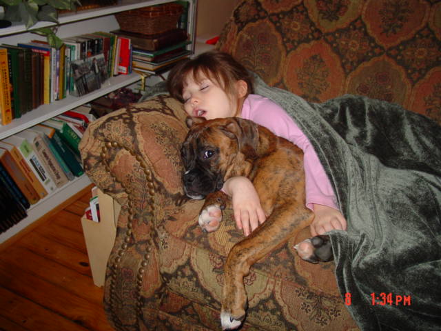 wow this dog can sleep