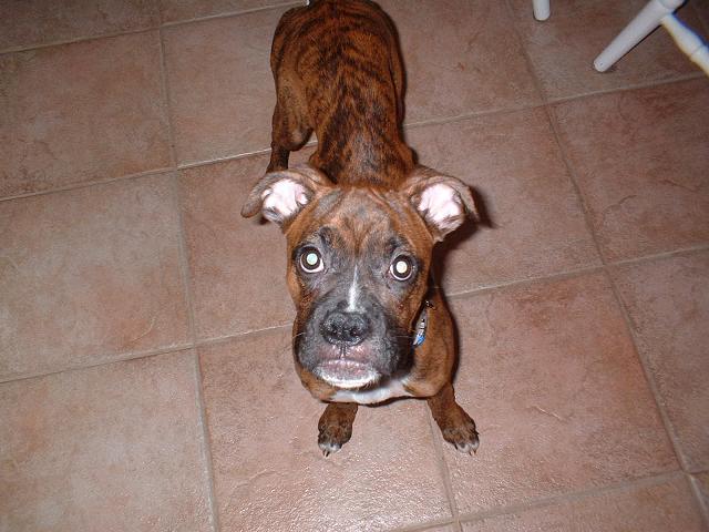 wow you are tall Daddy