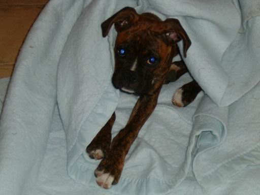 wrap me up