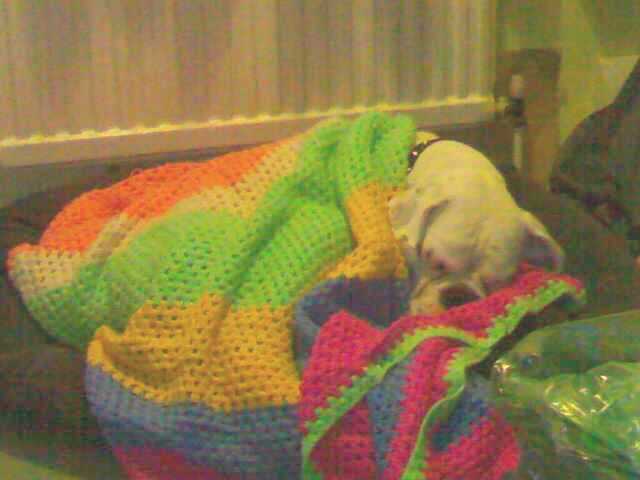 Wrapped up in "Blanky"!